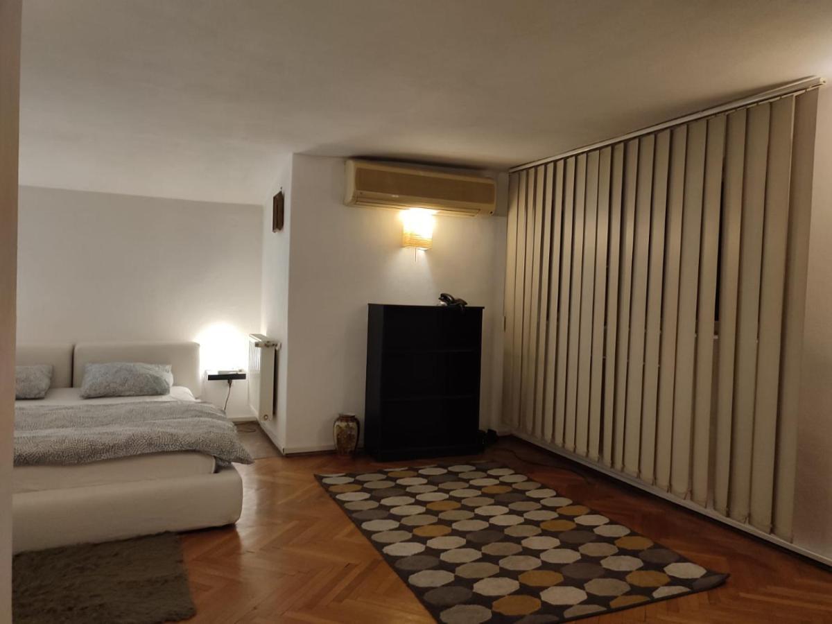 Апартаменты Dorobanti Loft Бухарест Экстерьер фото