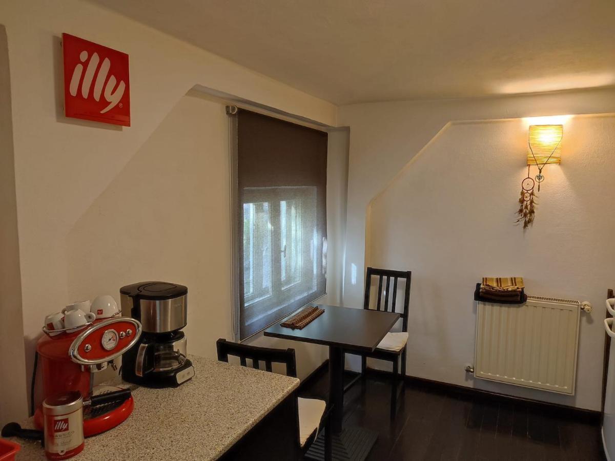 Апартаменты Dorobanti Loft Бухарест Экстерьер фото